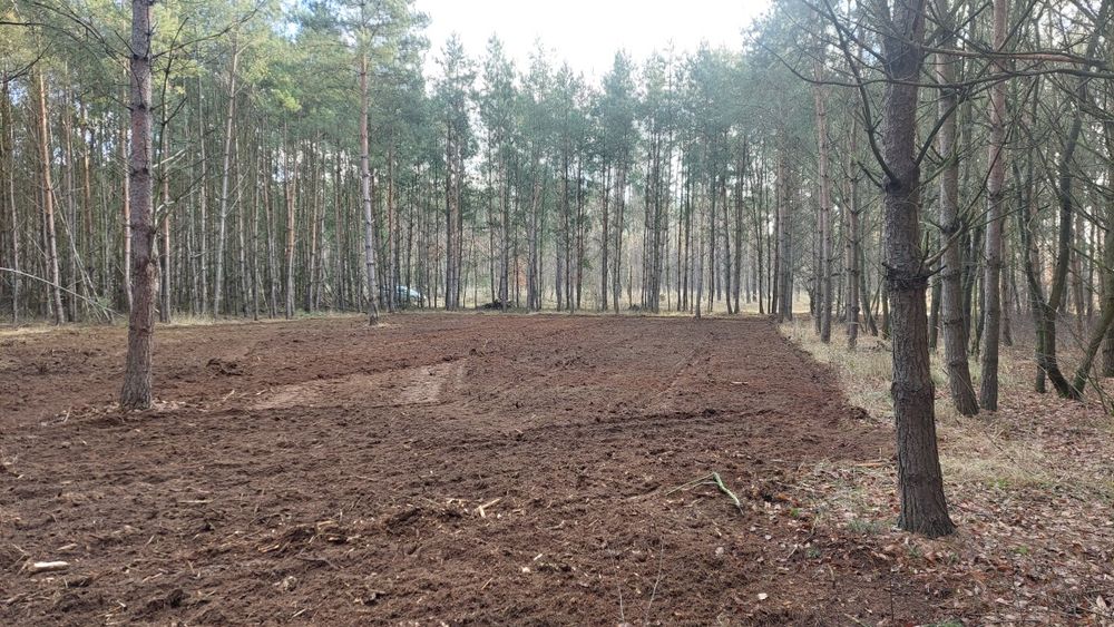 Wycinka drzew,czyszczenie działek, Karczowanie, mulczer