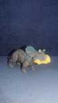 Zabawka dinozaur Mattel Jurassic World Nasutoceratops