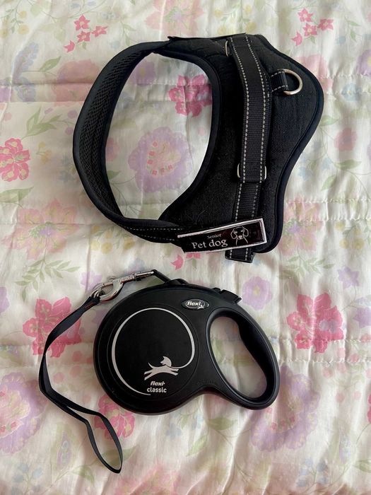 Conjunto de Peitoral e Trela Flexi para Cão Grande