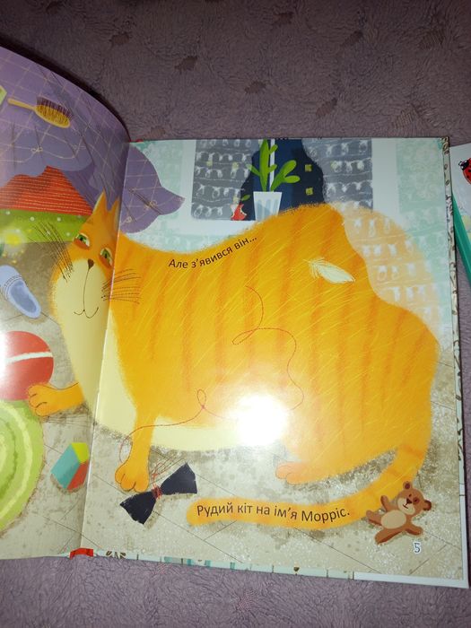 Книги На кого я схожа? і Алфі,який живе у шафі