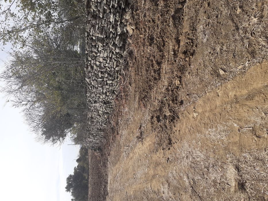 Limpezas de terrenos... Orçamentos grátis