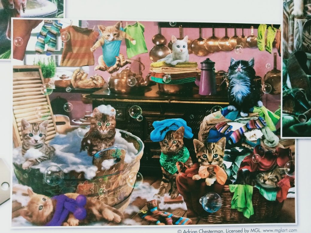 Puzzle King Animals (pieski i kotki ) Colection 4 posters 1000