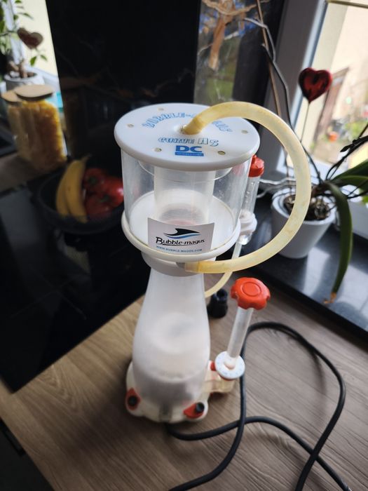 Akwarium morskie odpieniacz bubble Magnus curve A5