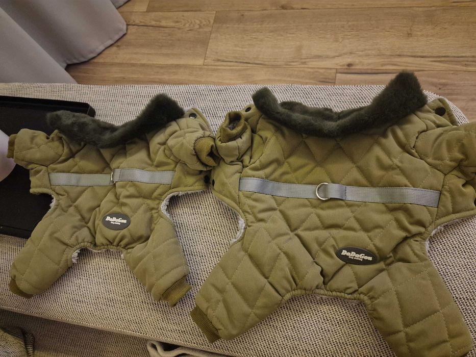 Sprzedam ibranko rozmiar s , m chihuahua