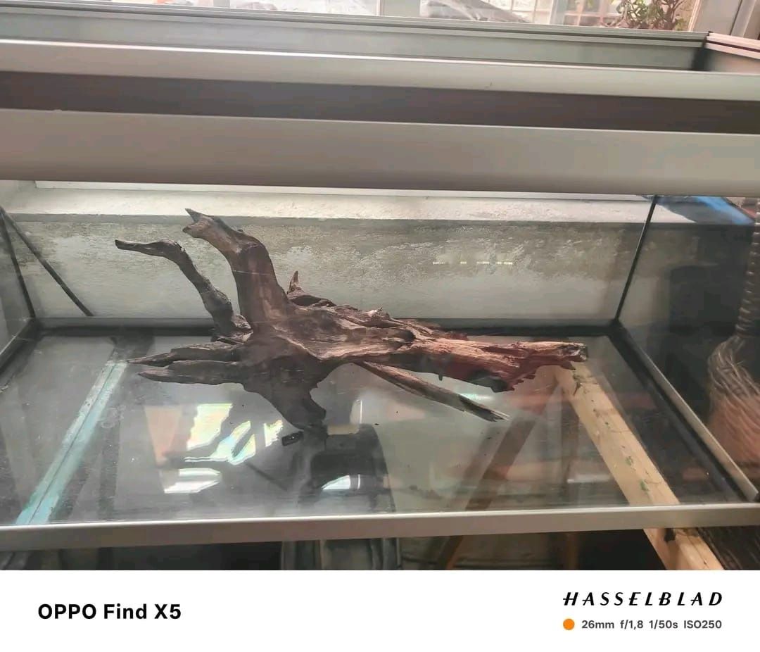 Vendo Aquário sem movel