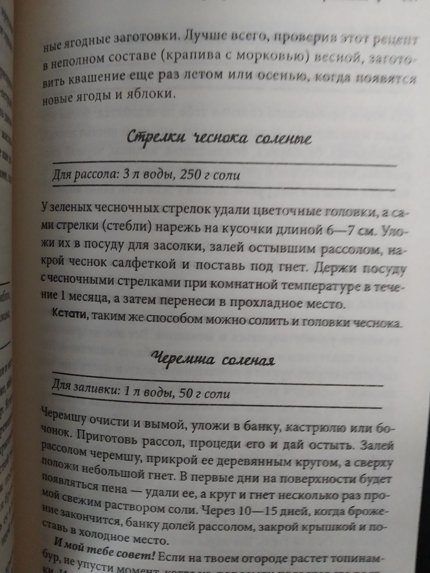 Золотая книга домашнего консервирования. Новая