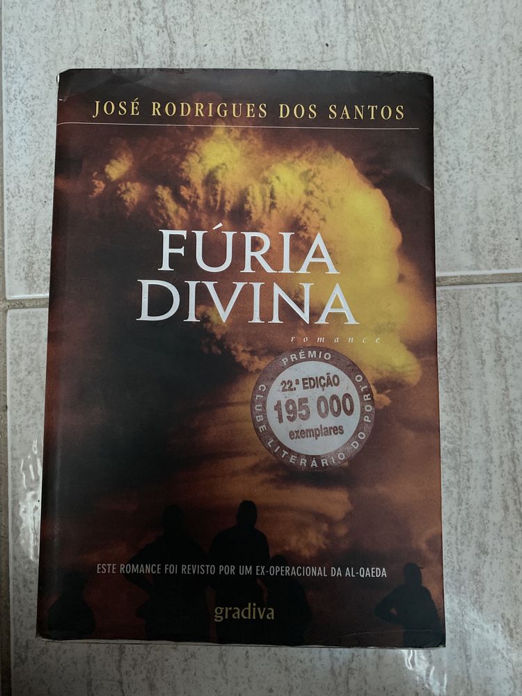 Livro Fúria divina