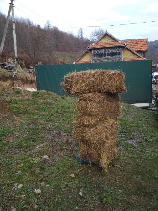 Сіно тюки городнє зелене домашнє 2025