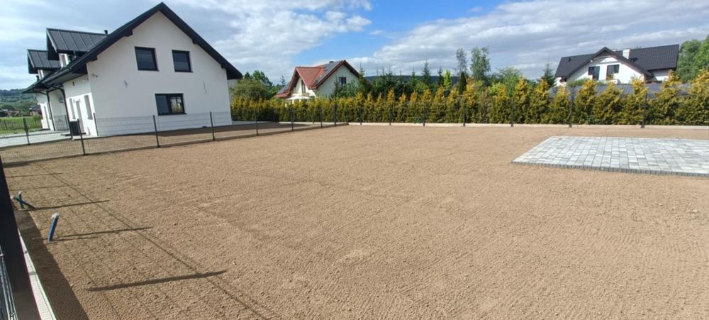 Szkółka drzew krzewów roślin