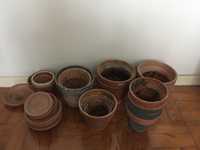 Lote vasos terracotta plantas