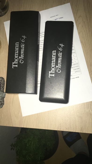 Gaita musical profissional