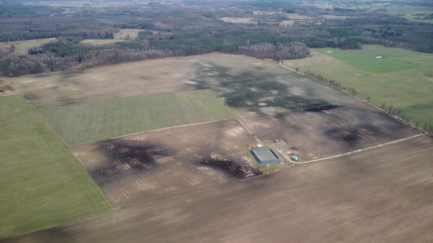 Gospodarstwo rolne o powierzchni 50 ha (plantacja borówki)