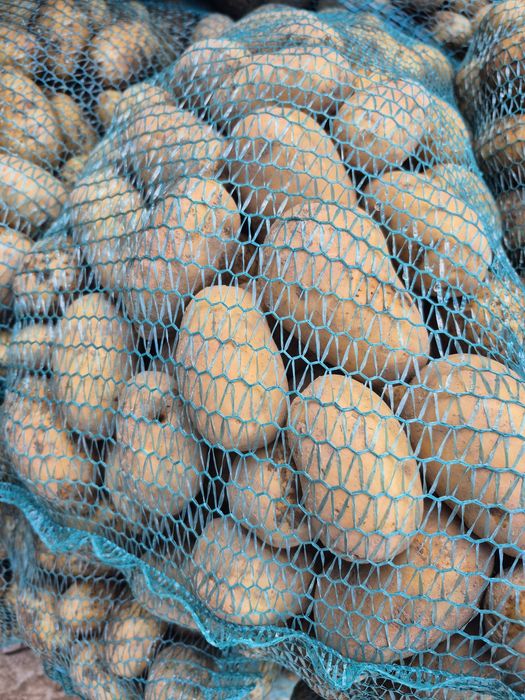 Ziemniaki vineta, Queen Anne