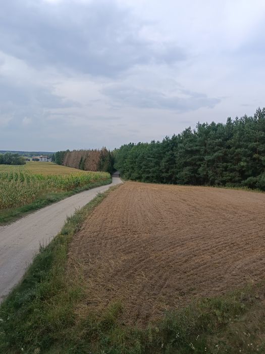 Działka rolno rekreacyjna w miejscowości Młyniec Drugi