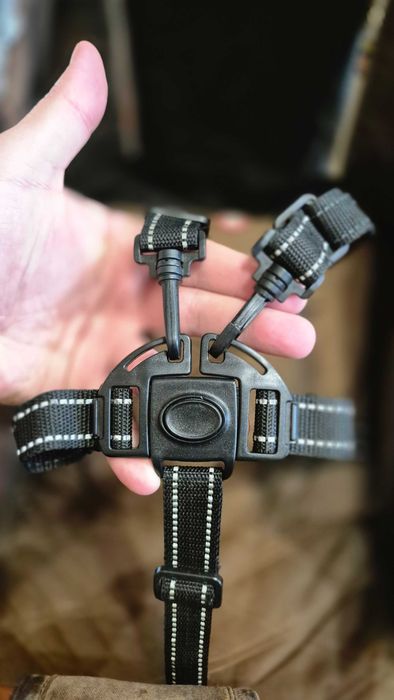 Carrello Astra Коляска Прогулочна