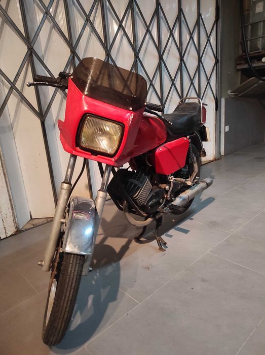 Sachs lotus como nova