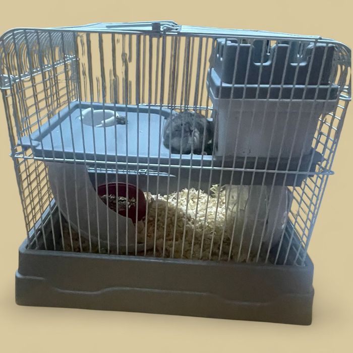 Vendo gaiola de hamster