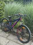 Rower scoot contessa