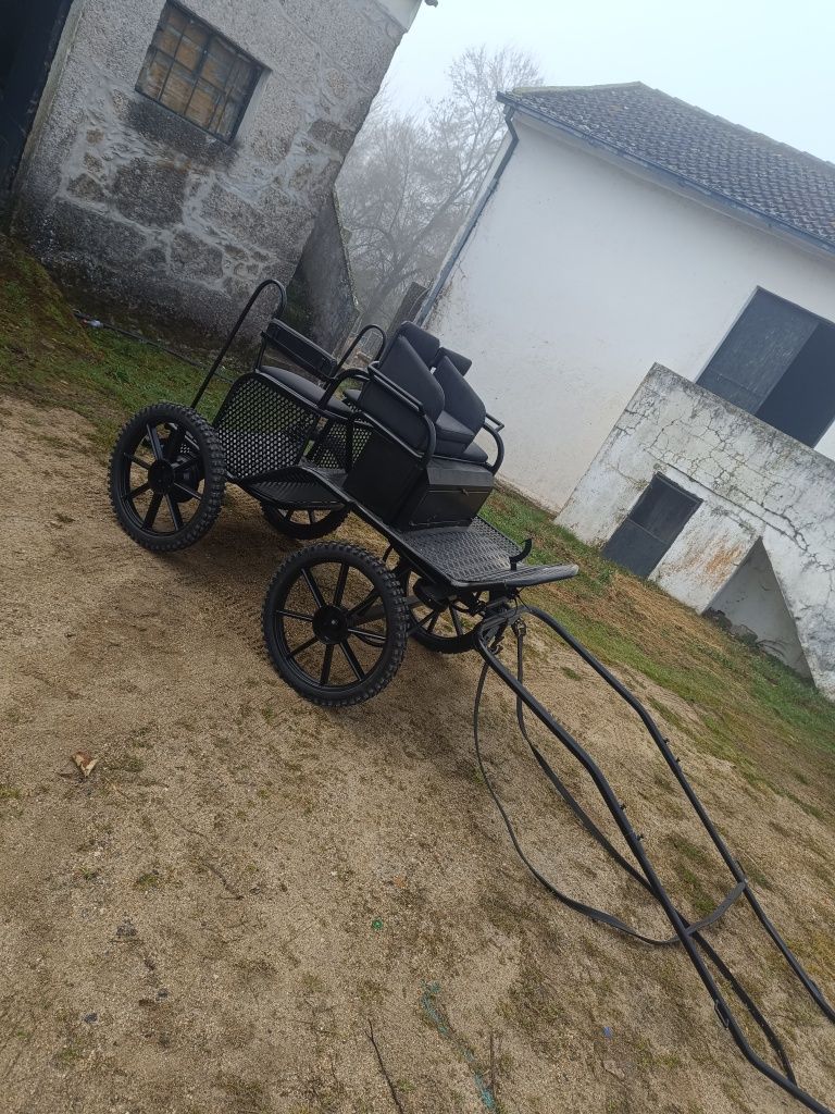 Charrete para venda