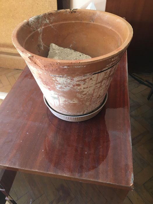 Vasos cerâmicos usados