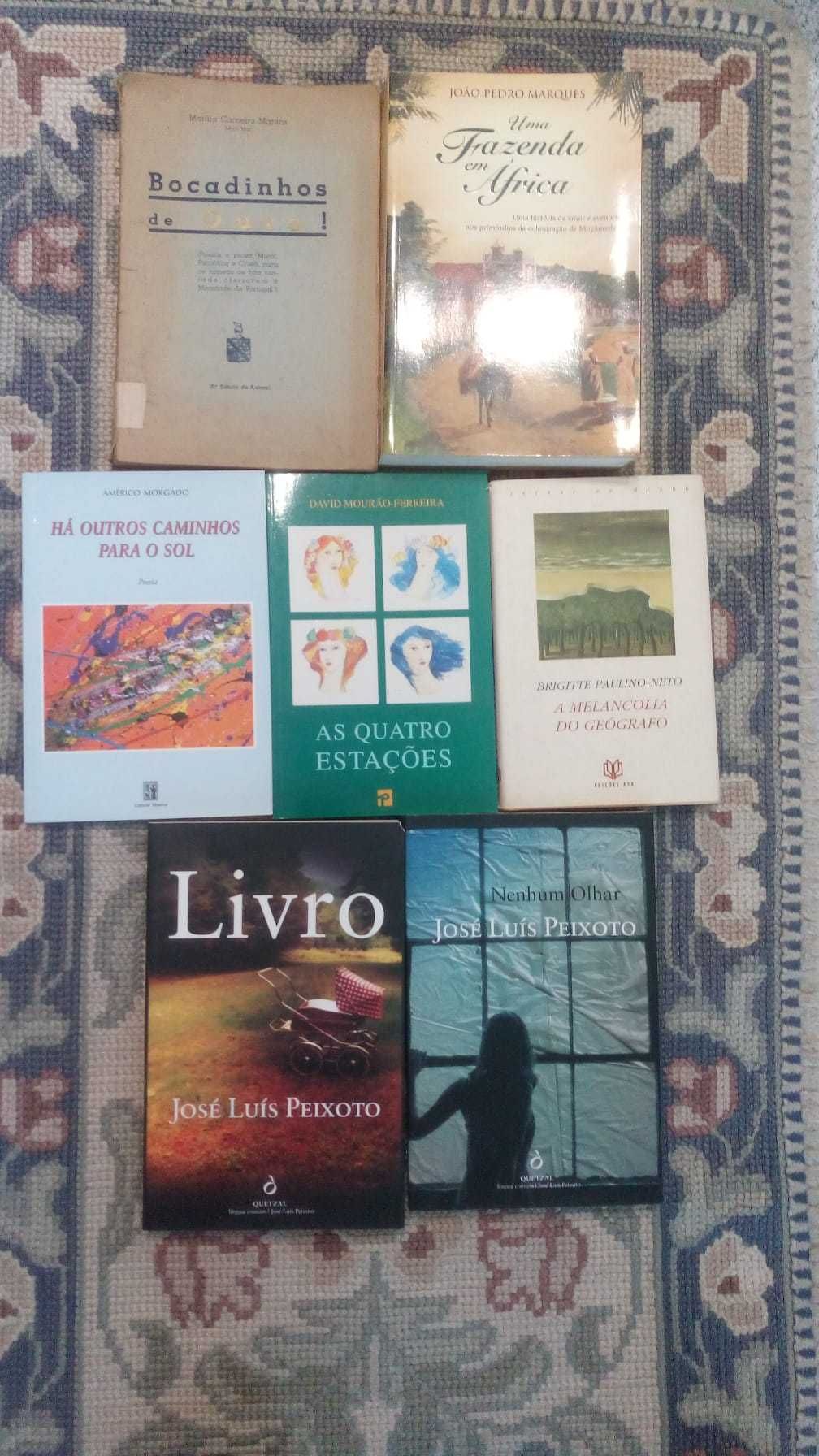 Conjunto +70 livros autores portugueses lusofonos