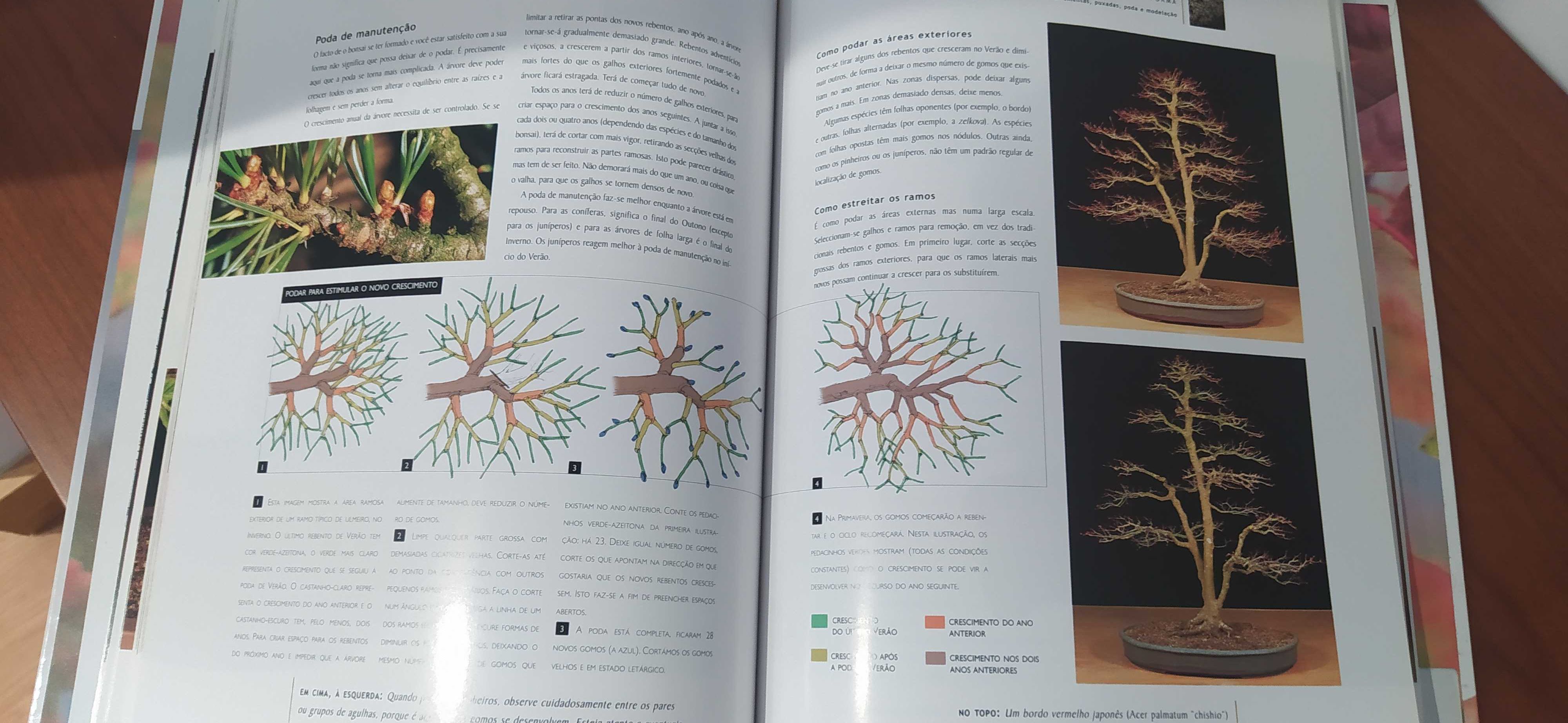 Livro: "Manual do Bonsai"