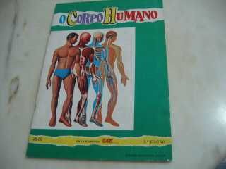 Caderneta completa : O corpo humano