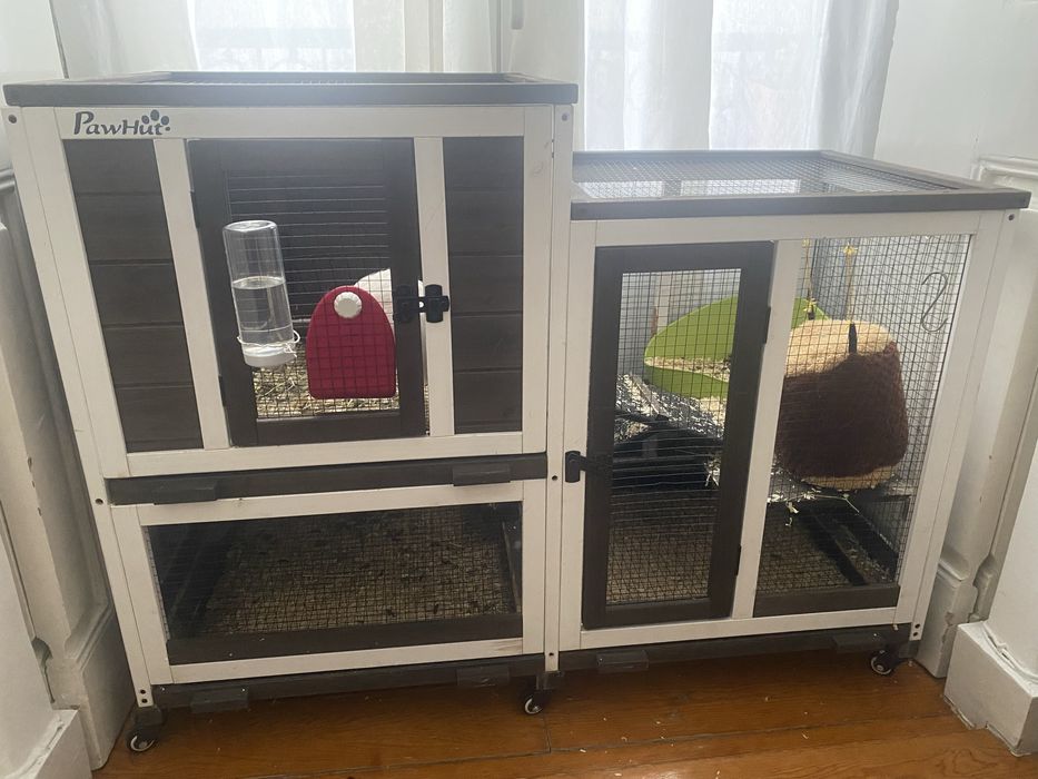 Gaiola madeira Pawhut