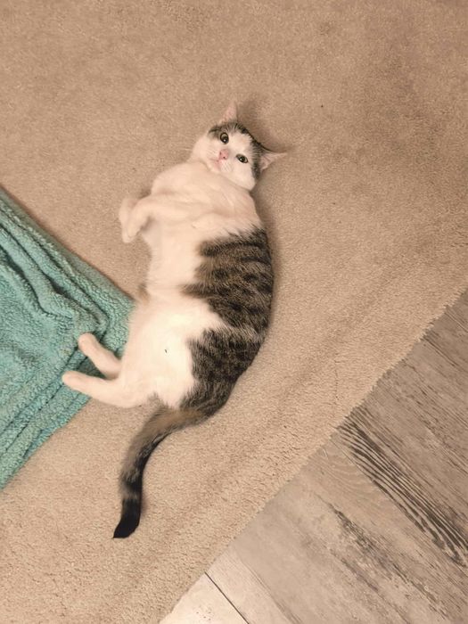 Od 4 tygodni liczymy na cud, że ktoś ją pokocha...