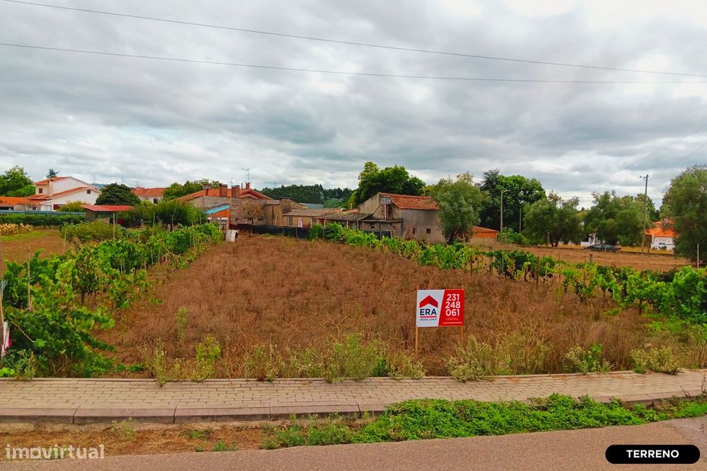 Terreno em Avelãs de Caminho