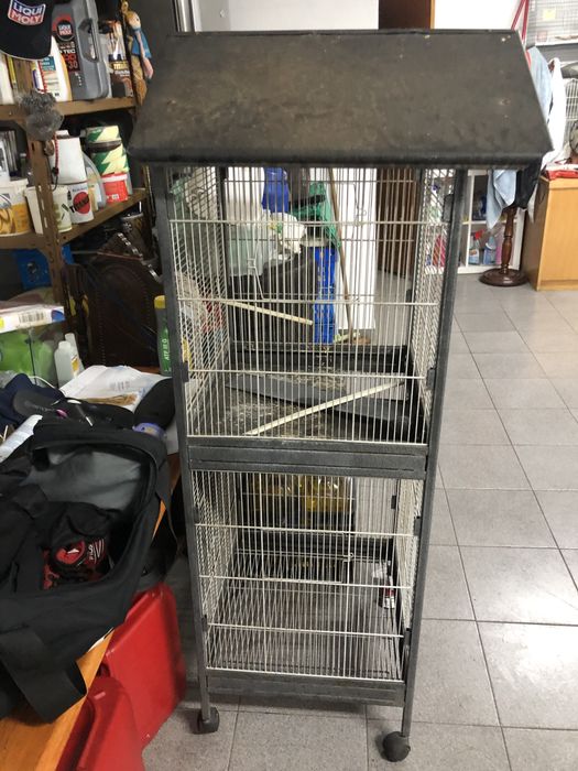 Viveiro para Desocupar