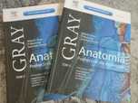 Anatomia. Gray. Podręcznik dla studentów.