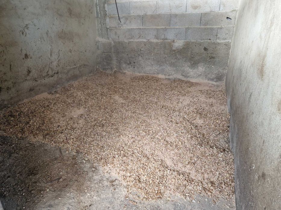 Boxe/Penso para Cavalo