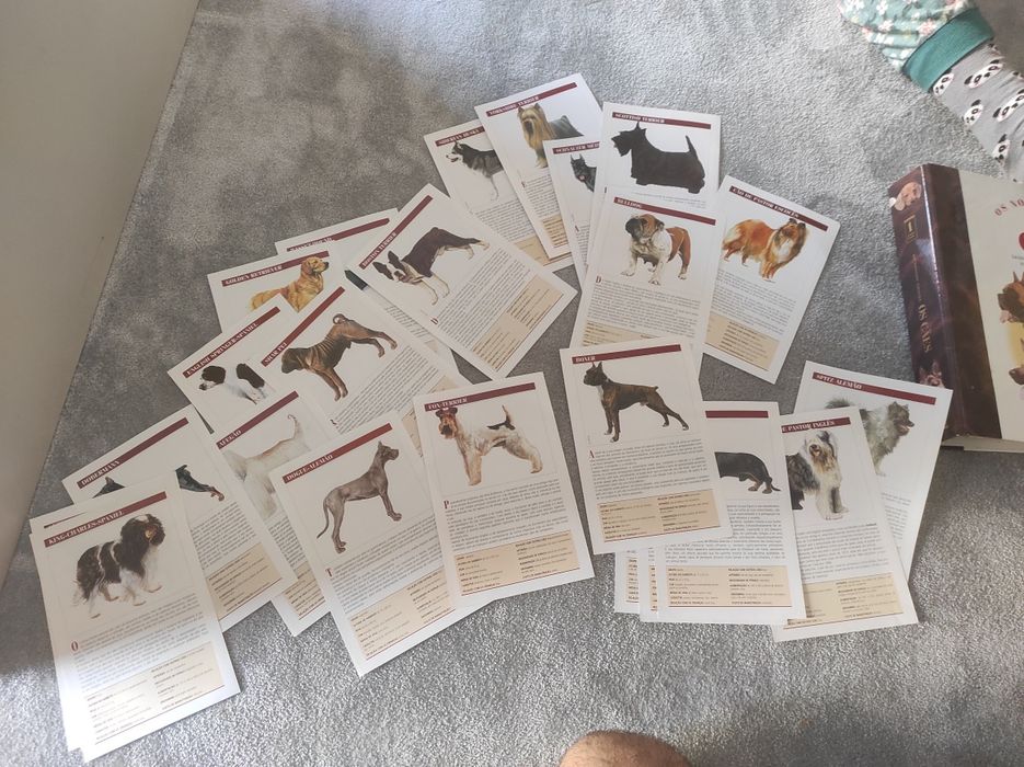 Os Cães da Planeta Agostini