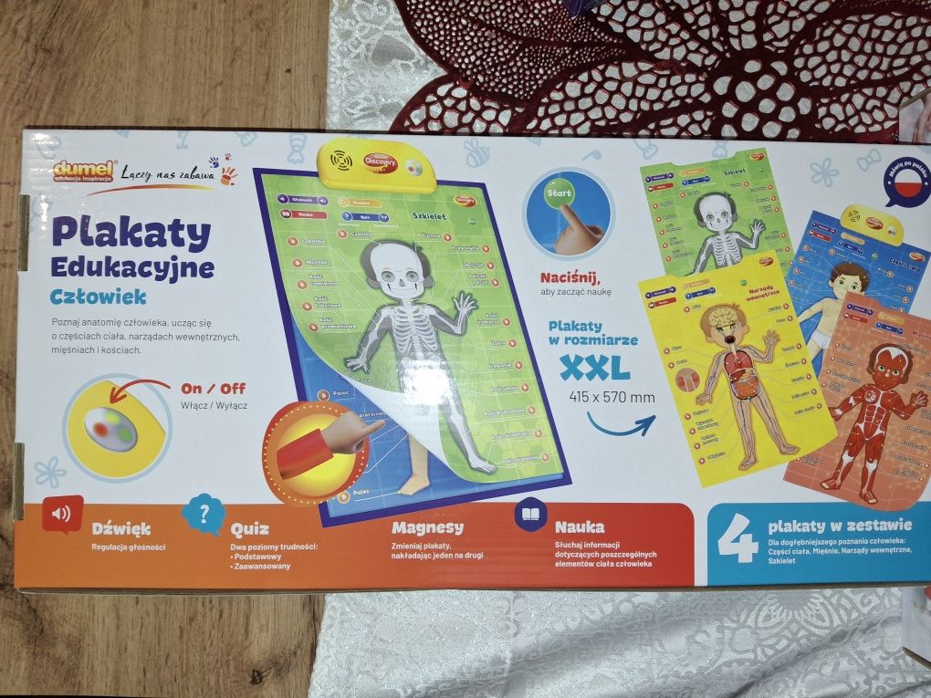 Plakaty edukacyjne Anatomia człowieka 5+