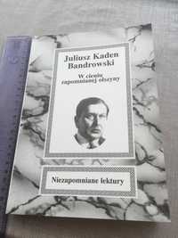 Książka: Kaden - Bandrowski „W cieniu zapomnianej olszyny”