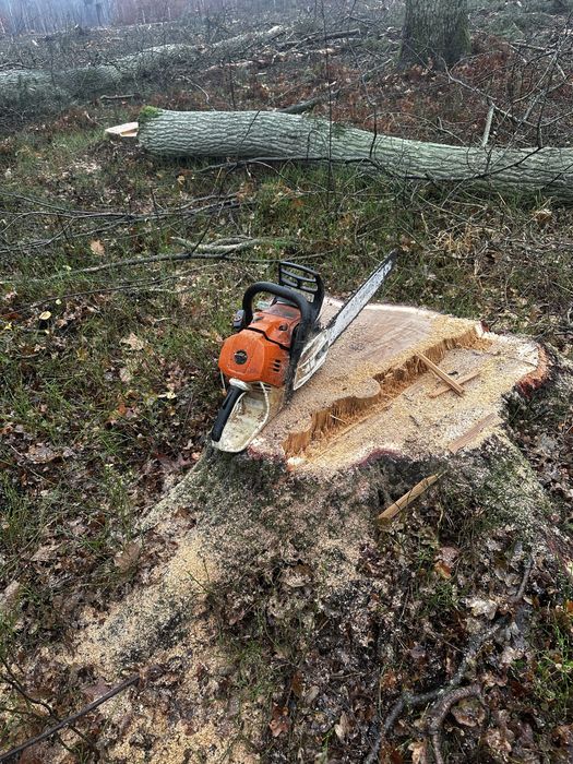 Wycinka drzew prywatnych
