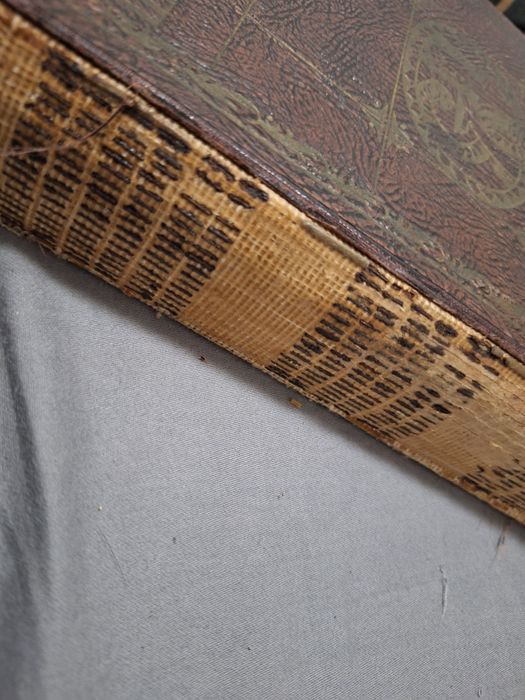 Lekarz ratujący zdrowie 1930 Tom I