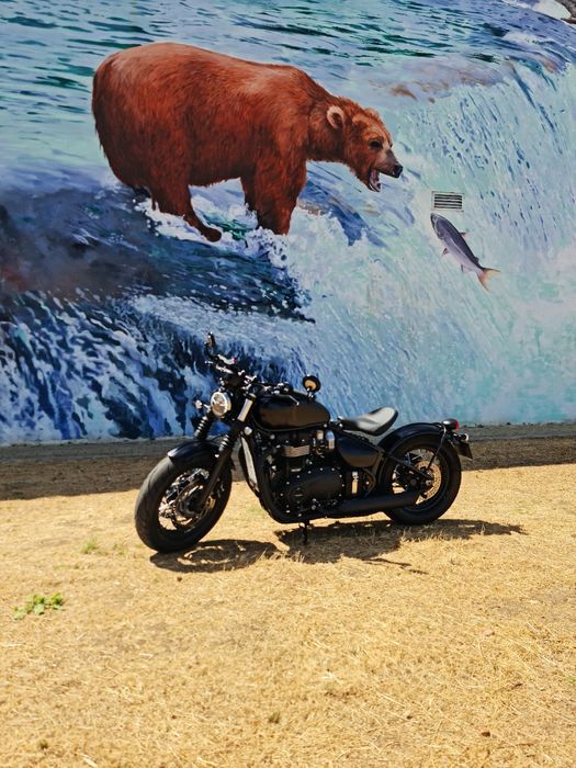 Triumph 1200 bobber BLACK EDITION