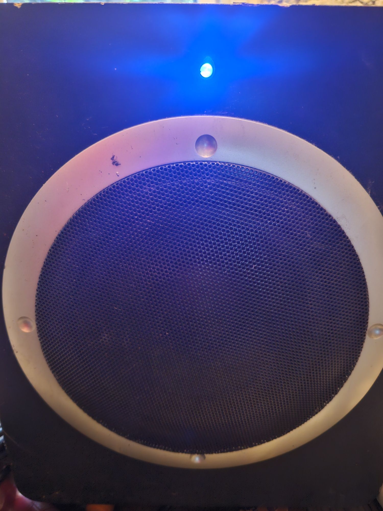 Głośnik subwoofer tracer