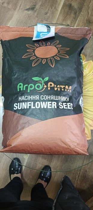 Насіння соняшнику Бомонд ЕКСТРА