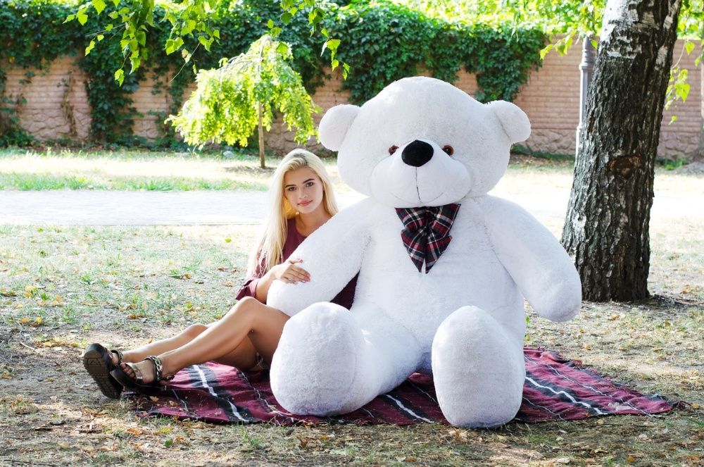 Нестор - большой плюшевый медведь.