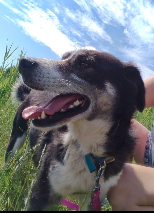 Proszę daj mi szansę i zabierz mnie do domu ...