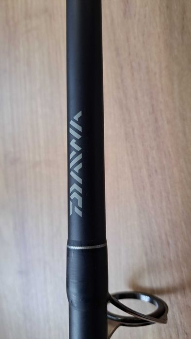 Wędka na dużego suma DAIWA EXCELER CF30