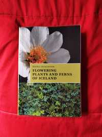 A Guide To The Flowering Plants And Ferns Of Iceland