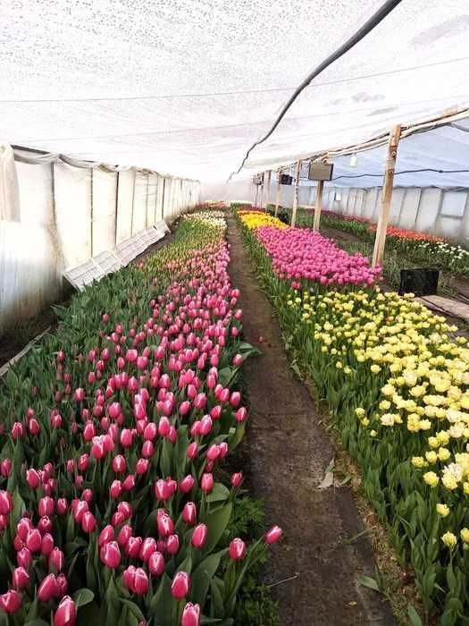 Продаж  будинку і готового бізнесу з ділянкою на 100 соток,