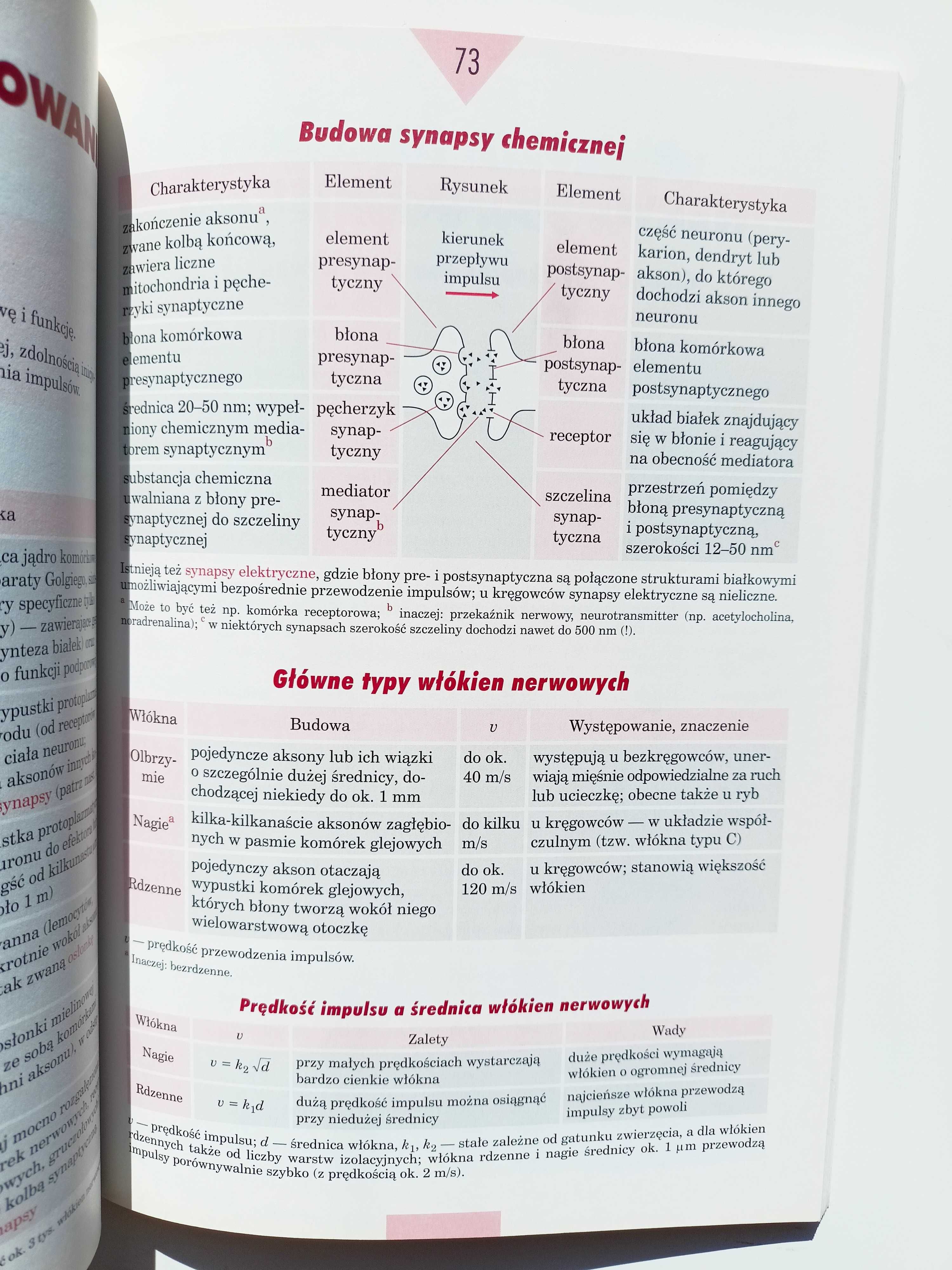 Tablice szkolne. Biologia