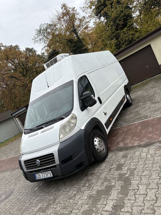 Peugeot Boxer. Fiat dukato. Citroen jamper . Bus.Dostawczak
