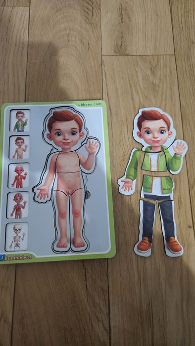 Продам сортер-пазл "Анатомія людини"