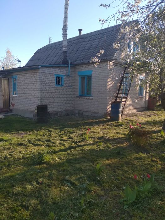 Продам будинок у с. Перемога  із земельною ділянкою 64 сотки